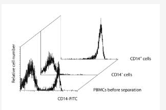Separation of CD14+ cells from PBMCs using CD14 MicroBeads, an MS Column, and a MiniMACS Separator.